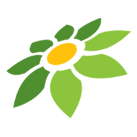 MOD APK REMINI